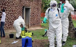 12 loại vi khuẩn đáng sợ gây tử vong nhanh chóng không kém gì whitmore