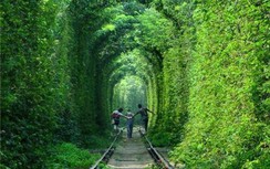 Đường ray xe lửa bỏ hoang phủ đầy cây xanh trở thành đường hầm lãng mạn