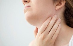 Đau họng nhiều ngày sau khi ăn sashimi, người phụ nữ kinh hãi khi thấy bác sĩ gắp ra con vật này