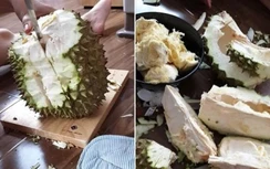 Những phi vụ "chặt, băm" sầu riêng tan nát khiến dân mạng cười té ghế