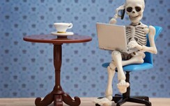 Những khóa học trực tuyến quái đản nhất mà bạn khó tưởng tượng ra