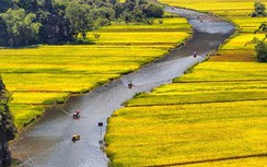 10 trải nghiệm khiến du khách nước ngoài thích thú nhất khi tới Việt Nam