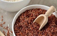 Nhiều người "bỏ đói" tế bào ung thư nhưng chết sớm vì suy kiệt