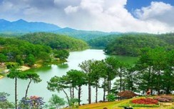 Thành phố duy nhất nào ở nước ta không có đèn giao thông?