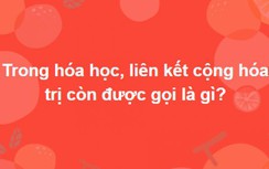 Trắc nghiệm: Bộ câu hỏi siêu khó chỉ 1% trả lời đúng tất cả