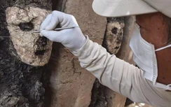 19 bức tượng bị chôn vùi và lãng quên hé lộ bí mật 750 năm trước