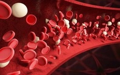 Người nhiều tuổi hạn chế ăn thịt là sai lầm, đây là lời khuyên bác sĩ