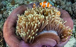 7 địa điểm du lịch độc đáo không phải ai cũng biết ở Indonesia