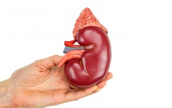 Nhiễm độc niệu đang nhằm vào giới trẻ, dưới đây là 7 lý do