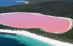 6 sự thật thú vị về Senegal, vùng đất của những chú sư tử dũng mãnh