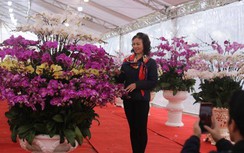 Lan Hồ Điệp đón Tết giá chục triệu vẫn "hút khách"