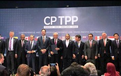 Hôm nay, Việt Nam vào CPTPP, bao nhiêu dòng thuế cắt giảm?
