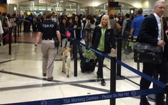 Hành khách mang súng trên chuyến bay từ Mỹ tới Nhật