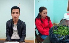 Mua bán trên Facebook, vợ chồng 9x kiếm lời 500.000 đồng/kg quả anh túc