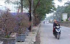 Thời tiết dịp Tết Nguyên đán Kỷ Hợi 2019 có gì đặc biệt?