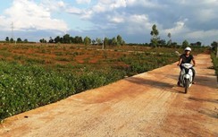 Phân lô bán nền ở Gia Lai: Cách tất cả chức vụ trong đảng một lãnh đạo