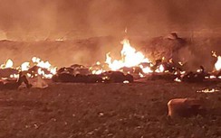 Video: Hãi hùng cảnh người hôi xăng bị lửa bao trùm ở Mexico