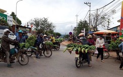 Chợ chuối "mọc" giữa ngã 3 đường, QL9 thêm điểm đen TNGT