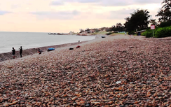 Xử lý nghiêm người san lấp bãi đá 7 màu độc đáo nhất Việt Nam