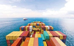 Vinalines “vẽ” bức tranh sau cổ phần hóa