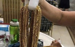 Gã làm thuê đã trộm của chủ hơn 400 cây vàng như thế nào?