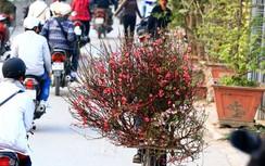 Hà Nội nắng đẹp trong ngày ông Công ông Táo