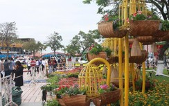 Thời tiết Tết Nguyên đán Kỷ Hợi: Du xuân ở đâu đẹp nhất?