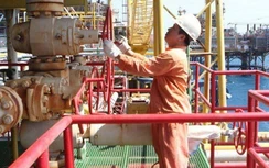 Đầu năm, PVN đạt tổng doanh thu gần 57 nghìn tỷ đồng