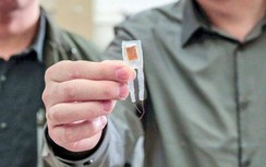 Các nhà khoa học tạo ra chip giúp kiểm soát cân nặng