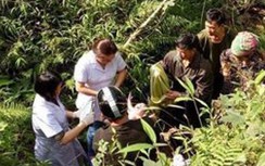 Thai phụ bị rơi xuống khe núi, bác sĩ đến tận hiện trường đỡ đẻ