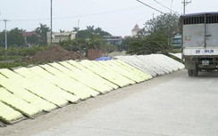 Sản xuất miến dong ngày Tết: Miến đẹp chỉ bán không ăn!