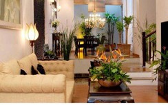 Cách bày đặt phong thủy năm Kỷ Hợi để tăng vận khí tài lộc trong nhà