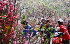 Thời tiết ngày 29 Tết: Miền Bắc có nơi nắng nóng 30 độ C