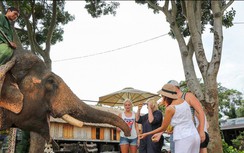 Du lịch Buôn Ma Thuột ngày Tết có gì thú vị?