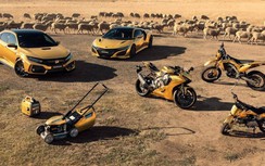 Honda giới thiệu bộ sưu tập các mẫu xe mạ vàng