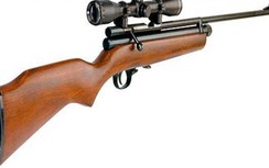 Bé gái bị bắn chết khi qua nhà hàng xóm chơi