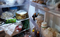Sau Tết, tủ lạnh biến thành... ổ vi khuẩn khổng lồ