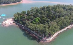 Du xuân đầu năm nhớ ghé thăm Đảo Ó - Đồng Trường giữa hồ Trị An