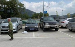 Xe biển xanh “lấp ló” ở lễ hội chùa Ba Vàng