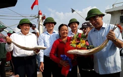 Trúng đậm 150 tấn cá bè vàng, ngư dân Quảng Trị thu 7 tỷ đầu Xuân