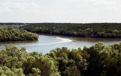 Đầu năm khám phá vẻ đẹp thiên nhiên nguyên sơ ở Cần Giờ