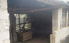 Hé lộ nguyên nhân công an xã tử vong bất thường trong chuồng trâu