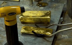 Vụ một người dân đòi UBND TP.HCM trả lại 2 thỏi vàng xử lý ra sao?