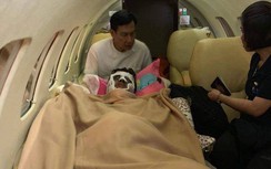 Tin tức 24h nóng nhất, mới nhất ngày hôm nay 16/2/2019