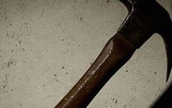 Người phụ nữ lập mưu giết hàng xóm để trả thù chỉ vì tranh chấp ranh đất