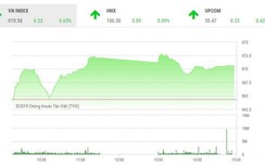 Chứng khoán ngày 20/2: Cổ phiếu lớn giúp VN-Index bảo toàn mốc 970 điểm