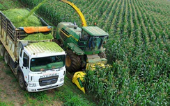 Phát triển nông nghiệp công nghệ cao: Không được đi trước về sau