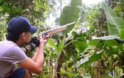 Giả tiếng gà gáy, nam thanh niên bị bạn săn bắn chết