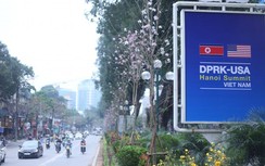 Hàng cây trổ hoa tím vừa được trồng trước thượng đỉnh Mỹ - Triều là cây gì?