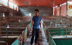 Về vùng tâm dịch tả lợn châu Phi hoành hành